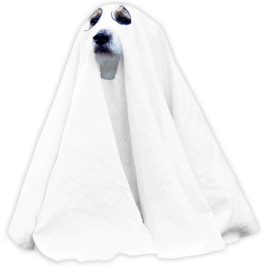 ghost dog